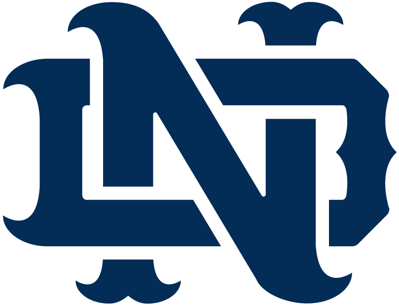 Notre Dame Fighting Irish 1994-Pres Alternate Logo v11 diy fabric transfer